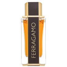 Salvatore Ferragamo Spicy Leather Special Edition parfémovaná voda pro muže 100 ml