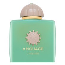 Amouage Lineage parfémovaná voda pro muže 100 ml