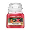 Yankee Candle Tropical Jungle vonná svíčka 104 g