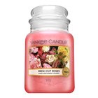 Yankee Candle Fresh Cut Roses vonná svíčka 623 g