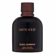 Dolce & Gabbana Pour Homme Intenso parfémovaná voda pro muže 125 ml