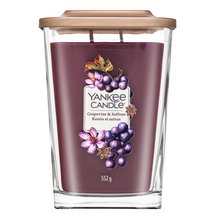 Yankee Candle Grapevine & Saffron vonná svíčka 552 g