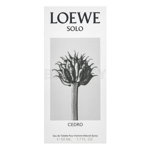 Loewe Solo Cedro toaletní voda pro muže 50 ml