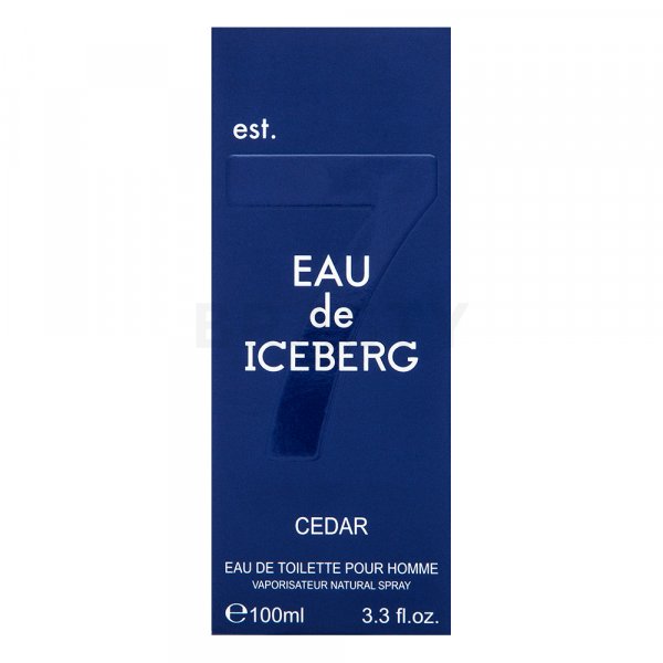 Iceberg Eau de Iceberg Cedar toaletní voda pro muže 100 ml